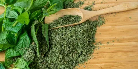 تصویر 3 از نعنا خشک اعلا با برگ های تمیز و رایحه خوشبو